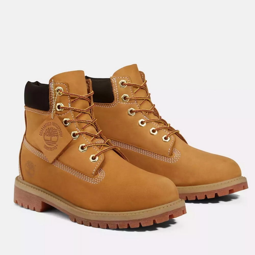 Junior Timberland Premium 6-Inch Boots